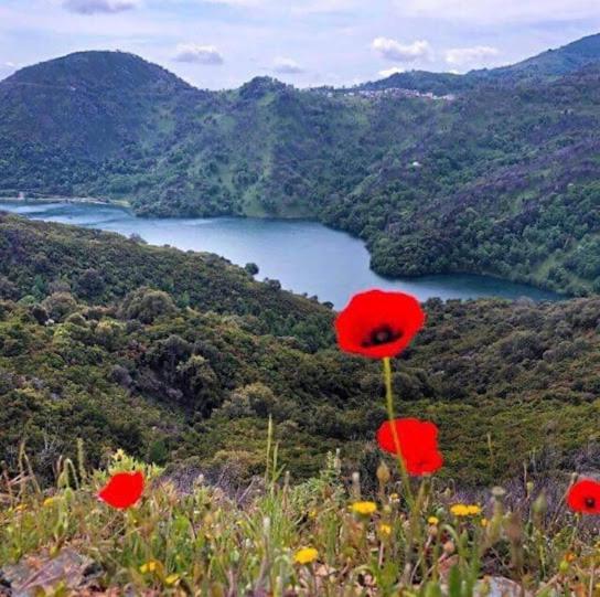 Valle d'Alesani La Source 8 Ou 6 Couchagesヴィラ エクステリア 写真